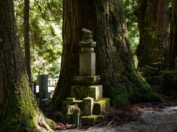 Ekoin, Okunoin & driving to Tanabe